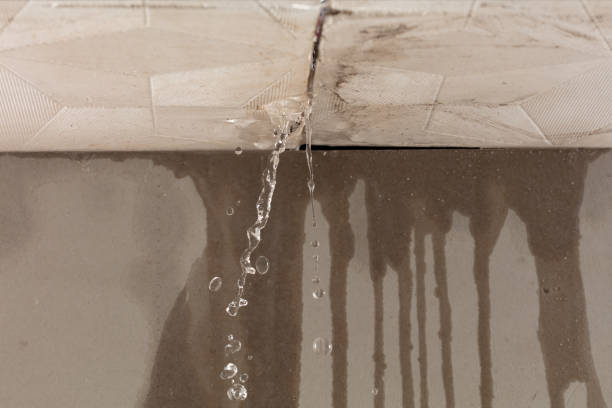 Professional Water Damage Inspection technician working in Lake Helen, FL